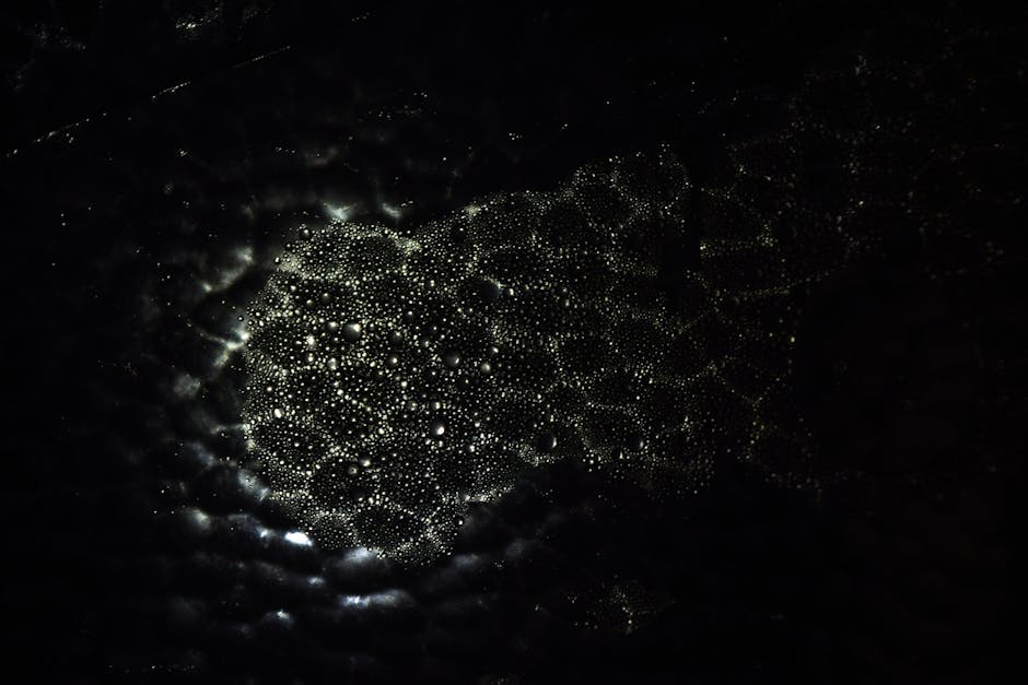 North Node in Scorpio: Your Soul's Call Toward Depth and Power