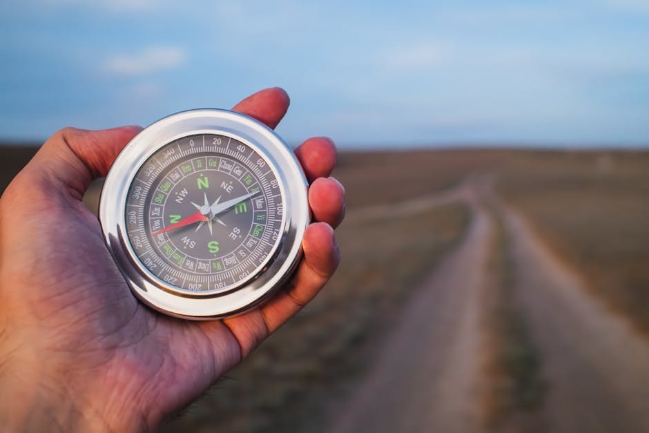 North Node in Astrology: Life Purpose and Soul Direction