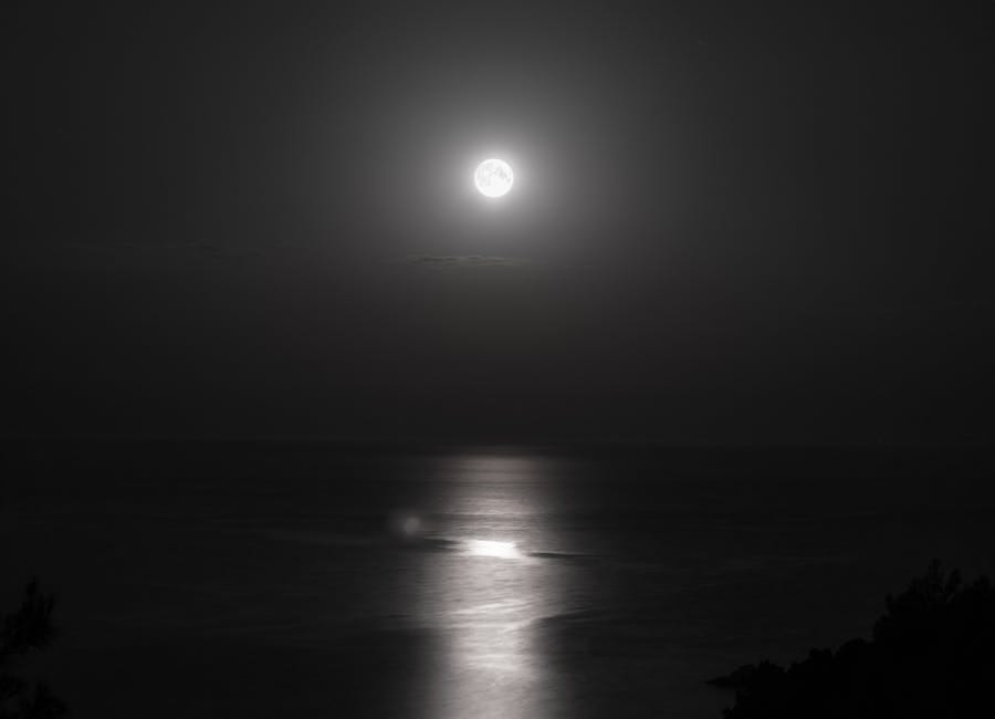 Moon Cycles and Your Nervous System: An Astrology Guide