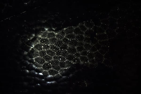 North Node in Scorpio: Your Soul's Call Toward Depth and Power